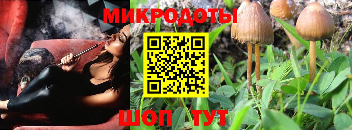 Дзержинск  Галлюциногенные грибы GOLDEN TEACHER  Вход с VPN 