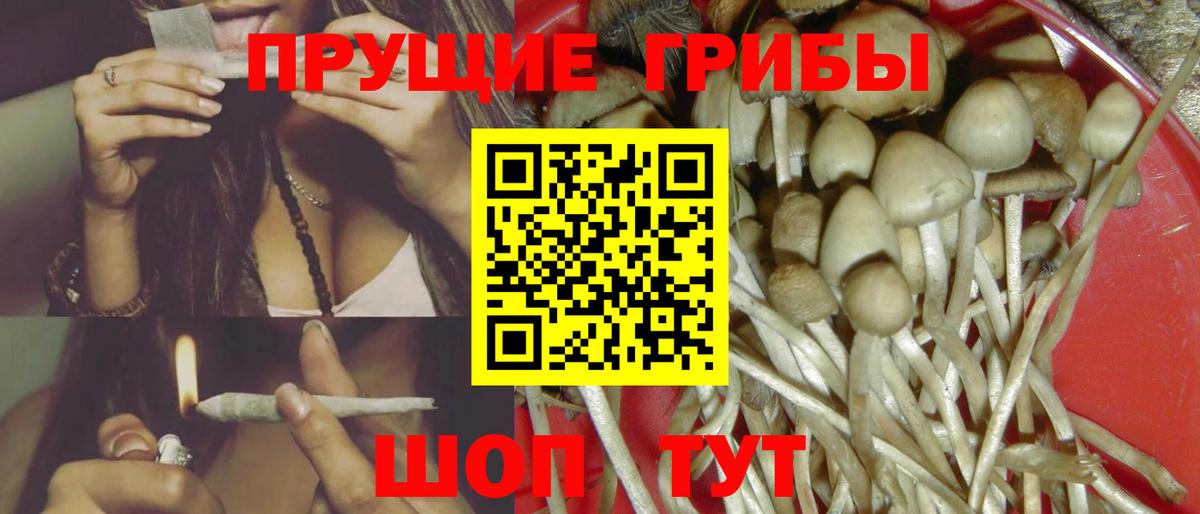 Галлюциногенные грибы Magic Shrooms Дзержинск
